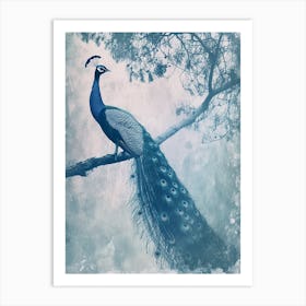 Vintage Turquoise Peacock In A Tree Cyanotype Inspired3 Art Print
