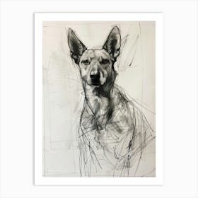 Canaan Dog Charcoal Line 1 Art Print