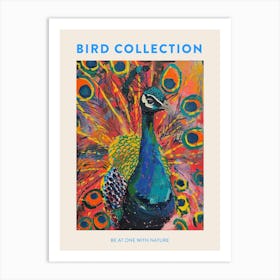 Peacock & Feathers Colourful Portrait 1 Poster Art Print