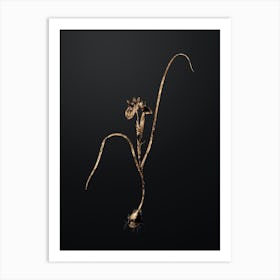Gold Botanical Barbary Nut on Wrought Iron Black n.0891 Art Print