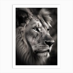 Lion in the Wild Art Print