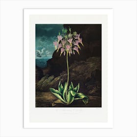 Vintage Botanical Temple Of Flora _2476829 Art Print