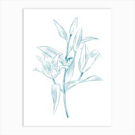 Lily Of The Valley 30 Art Print