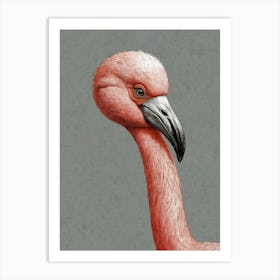 Flamingo 22 Art Print