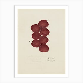 Five Red Grapes Art Print