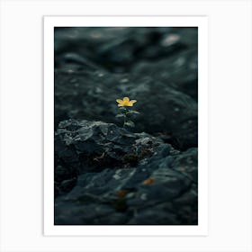 Flower In The Water 19 Art Print