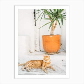 Ginger Cat In Greece Art Print