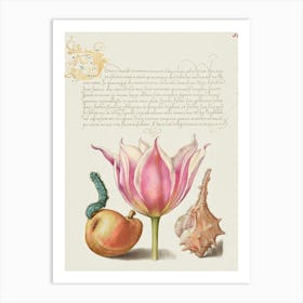 Caterpillar, Pear, Tulip, And Purple Snail From Mira Calligraphiae Monumenta, Joris Hoefnagel Art Print