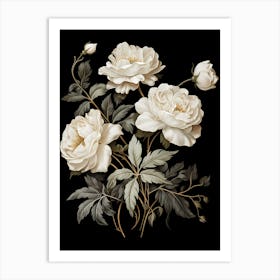 White Roses On Black Background 2 Art Print