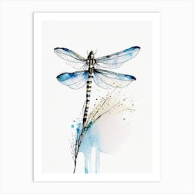 Common Whitetail Dragonfly Minimalist Watercolour 2 Art Print