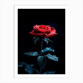 Dark Rose 26 Art Print