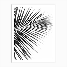 Black And White Palm Leaf Art Print