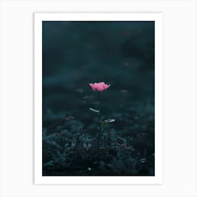 Single Pink Flower In The Dark Art Print