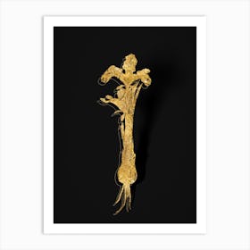 Vintage Iris Persica Botanical in Gold on Black n.0250 Art Print