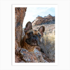 French Bulldog.Generated AI. Art Print 5 Art Print