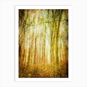 Woodland Hideaway Art Print