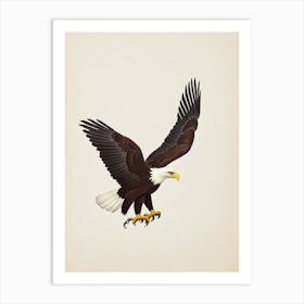 Bald Eagle Illustration Bird Art Print
