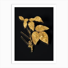 Vintage Eastern Poison Ivy Botanical in Gold on Black n.0397 Art Print