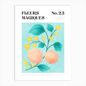 Apricot Blossom Botanical Print Art Print