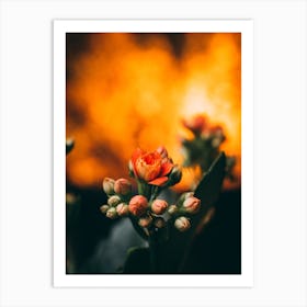 Poster Flower Art Print 20 Art Print