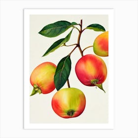 Rose Apple Watercolour Fruit Painting Fruit Art Print