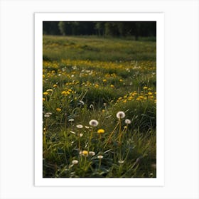 Dandelions In The Meadow Art Print