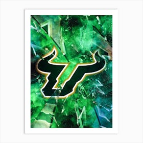 South Florida Bulls 1 Art Print