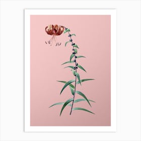 Vintage Tiger Lily Botanical on Soft Pink n.0203 Art Print