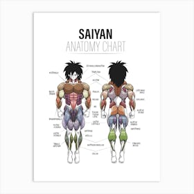 Broly Anatomy Dragon ball Super Art Print