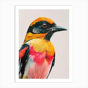 Colorful Bird 5 Art Print