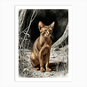 Abyssinian Cat Art Print