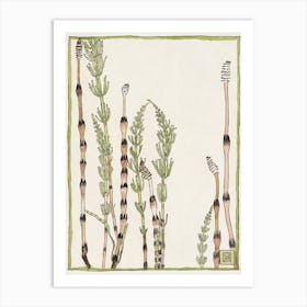 Horsetail (1915), Hannah Borger Overbeck Art Print