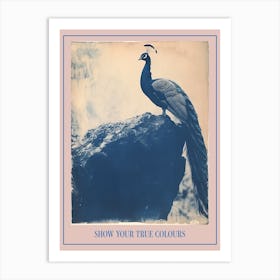 Navy Blue Peacock Portrait Cyanotype Inspired 3 Poster Art Print