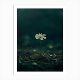 Single Flower 39 Art Print