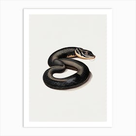 Black Moccasin Snake Vintage Art Print