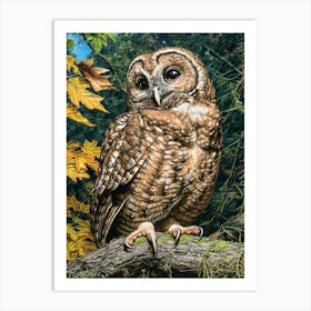 Spotted Owl Relief Illustration 4 Art Print