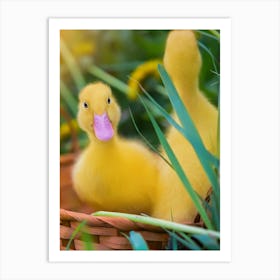 Ducklings In A Basket Art Print