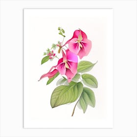 Impatiens Floral Quentin Blake Inspired Illustration 1 Flower Art Print