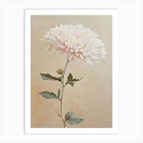 Chrysanthemum 1 Art Print