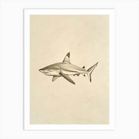 Blacktip Reef Shark  Vintage Illustration 4 Art Print