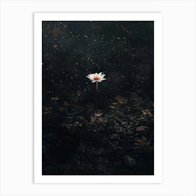 Water Lily 3 Art Print