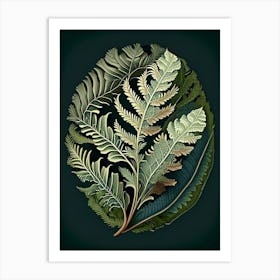 Shield Fern Wildflower Vintage Botanical 2 Art Print