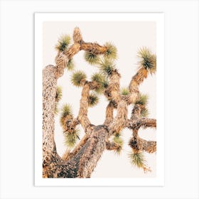 Joshua Tree Art Print