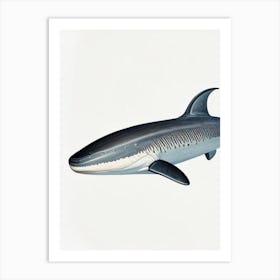Greenland Shark 3 Vintage Art Print
