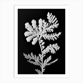 Yarrow Leaf Linocut 3 Art Print