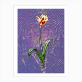 Vintage Didier's Tulip Botanical Illustration on Veri Peri n.0315 Art Print