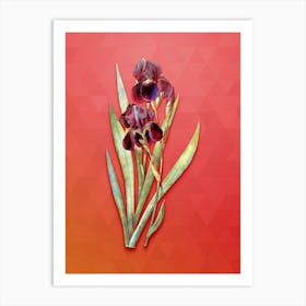 Vintage German Iris Botanical Art on Fiery Red n.1091 Art Print
