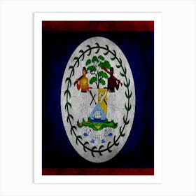 Belize Flag Texture Art Print