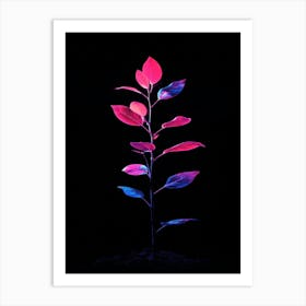 Plant On A Black Background 1 Art Print