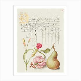 Carnation, Martagon Lily, And Pear From Mira Calligraphiae Monumenta, Joris Hoefnagel Art Print